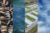 Four vertical images combined into one photo: L-R: sheep at a factory farm from overhead, the ocean, factory farming greenhouses from overhead, a blue sky with clouds, and a faint rainbow.