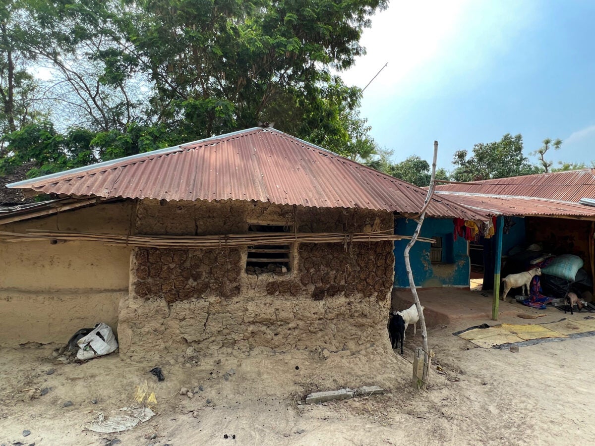 A mud house in rural india. The dirt home has a metal tin roof, and goats roam the property.