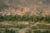 Aerial photo of the Fint Oasis in southern Morocco: green palm trees, a small water source and clay buildings stand among dry hills and dirt roads.